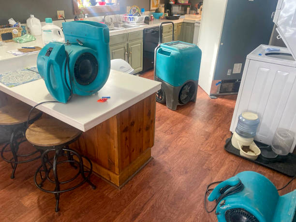 Best Commercial water damage restoration  in Bellwood, VA