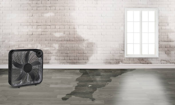 Reliable Bellwood, VA Water damage restoration Solutions