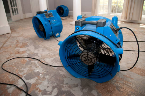 Best 24-hour water damage restoration  in Bellwood, VA