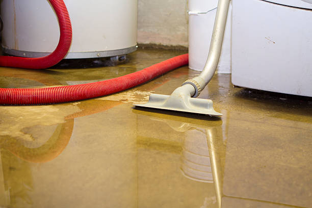 Best Flooded house restoration  in Bellwood, VA