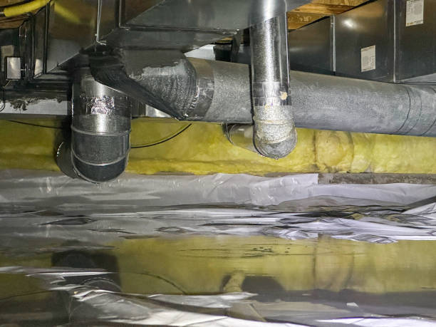 Best Sewage cleanup and water damage restoration  in Bellwood, VA