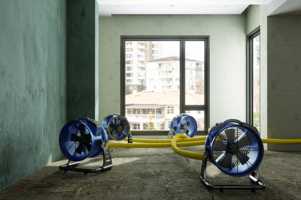 Best 24-hour water damage restoration  in Bellwood, VA