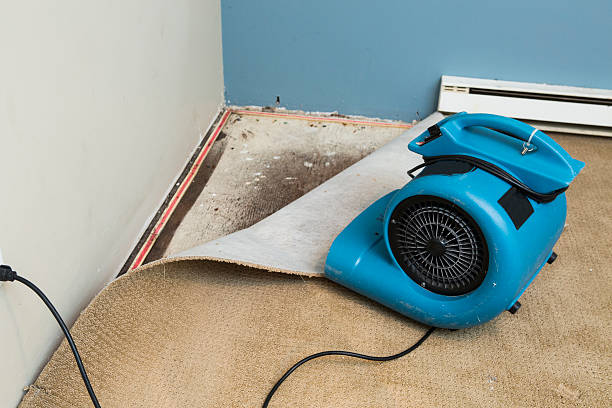 Best Emergency water damage restoration  in Bellwood, VA